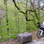 DSCN2434