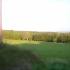 DSCN2521