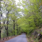 DSCN2433