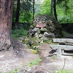 DSCN2439