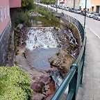 DSCN2446
