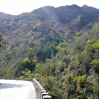 DSCN2435