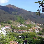 DSCN2450