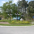 DSCN2479