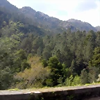 DSCN2489