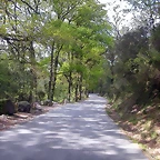 DSCN2493