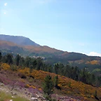 DSCN2381