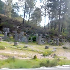 DSCN2497