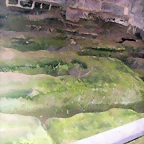 DSCN2321