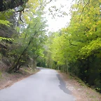 DSCN2431