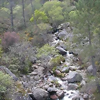 DSCN2415