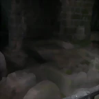 DSCN2293
