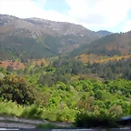 DSCN2391