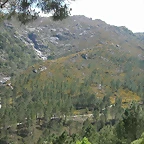 DSCN2394