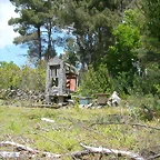 DSCN2368