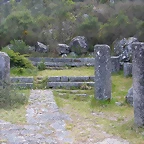 DSCN2408