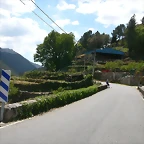 DSCN2390