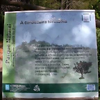 DSCN2393