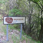 DSCN2402