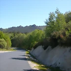 DSCN2284
