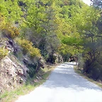 DSCN2429