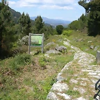 DSCN2420
