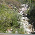 DSCN2428