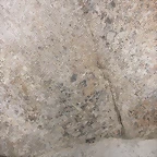DSCN2298
