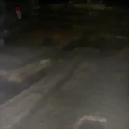 DSCN2315