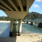 DSCN6746