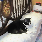 Osca,se va despertando