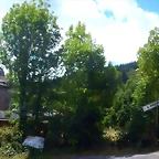 DSCN6653