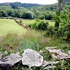 DSCN4335