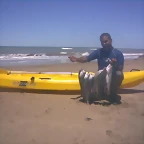 Imagen017