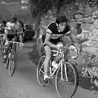 Eddy-Merckx-lombardia