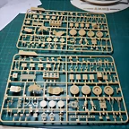 DSCN6005