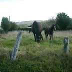 DSCN9235