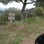 Campa abedul octubre