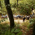 DSCN9724