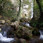 DSCN0492