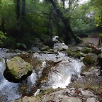 DSCN0491