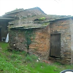 DSCN5317