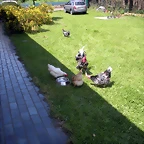 DSCN8293'4
