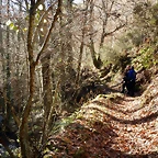 DSCN1464