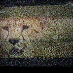 ireEwu7I2YRF8