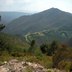 DSCN5967