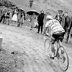 CHARLI GAUL,1960,GAVIA