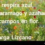 respirazul