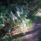 P1010172