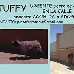 STUFFY Sevilla